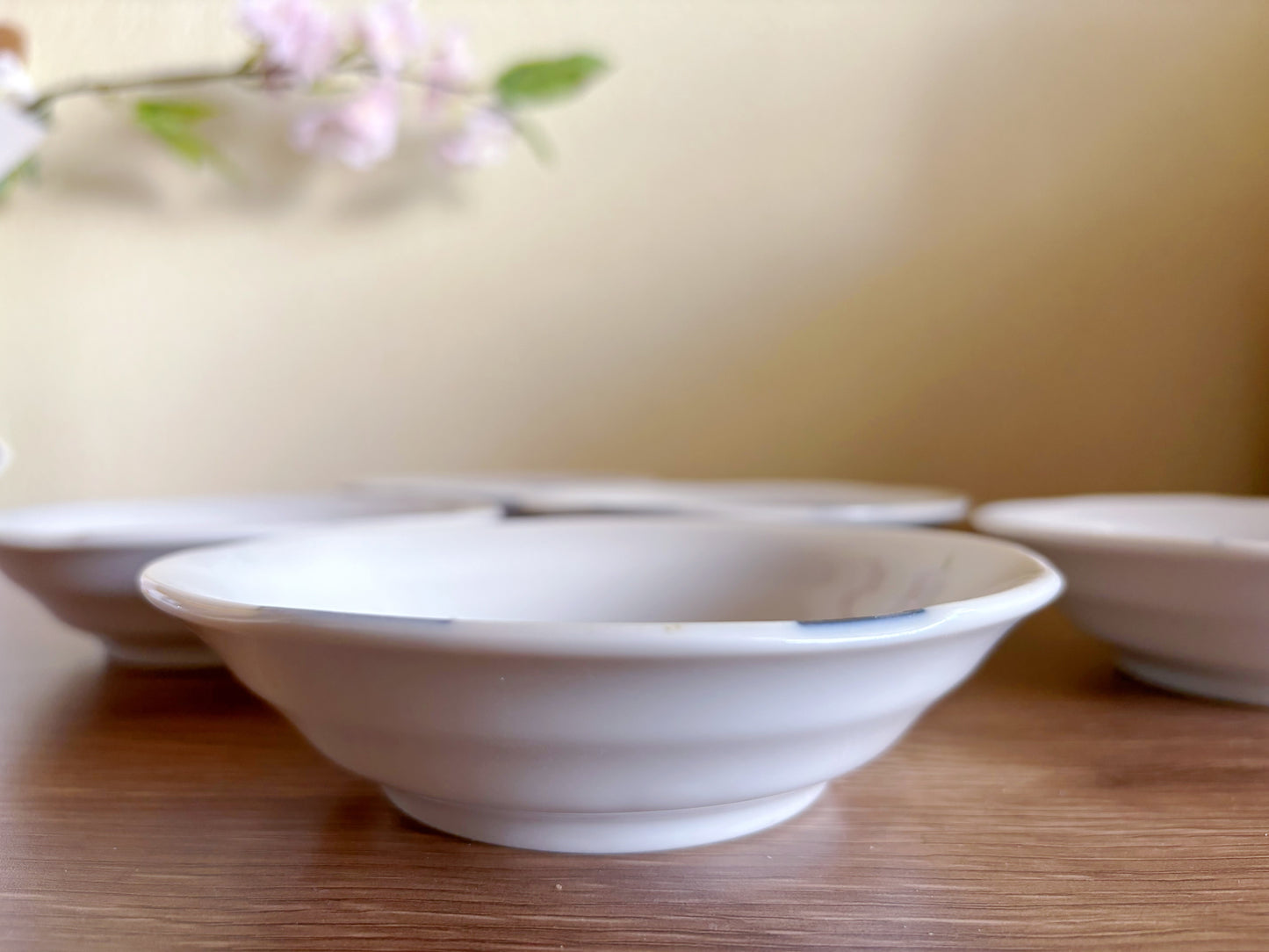 5 Piece Set of Cat bowls Cat plates Mino yaki Mino Ware From Japan Japanese ceramics