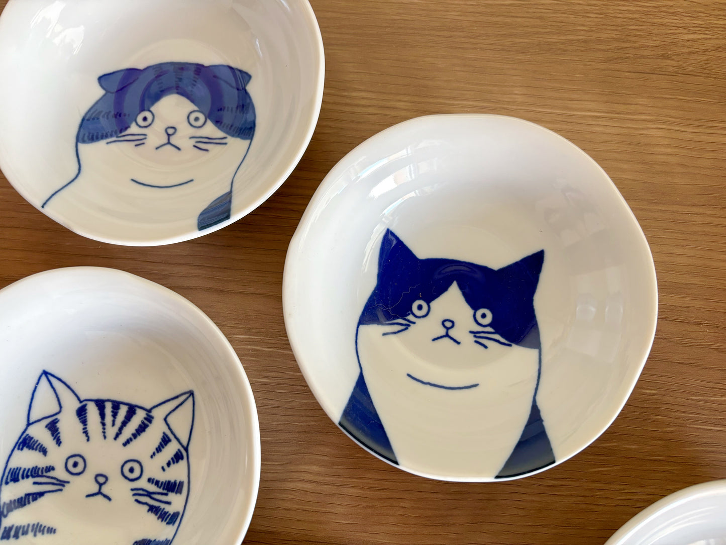 5 Piece Set of Cat bowls Cat plates Mino yaki Mino Ware From Japan Japanese ceramics