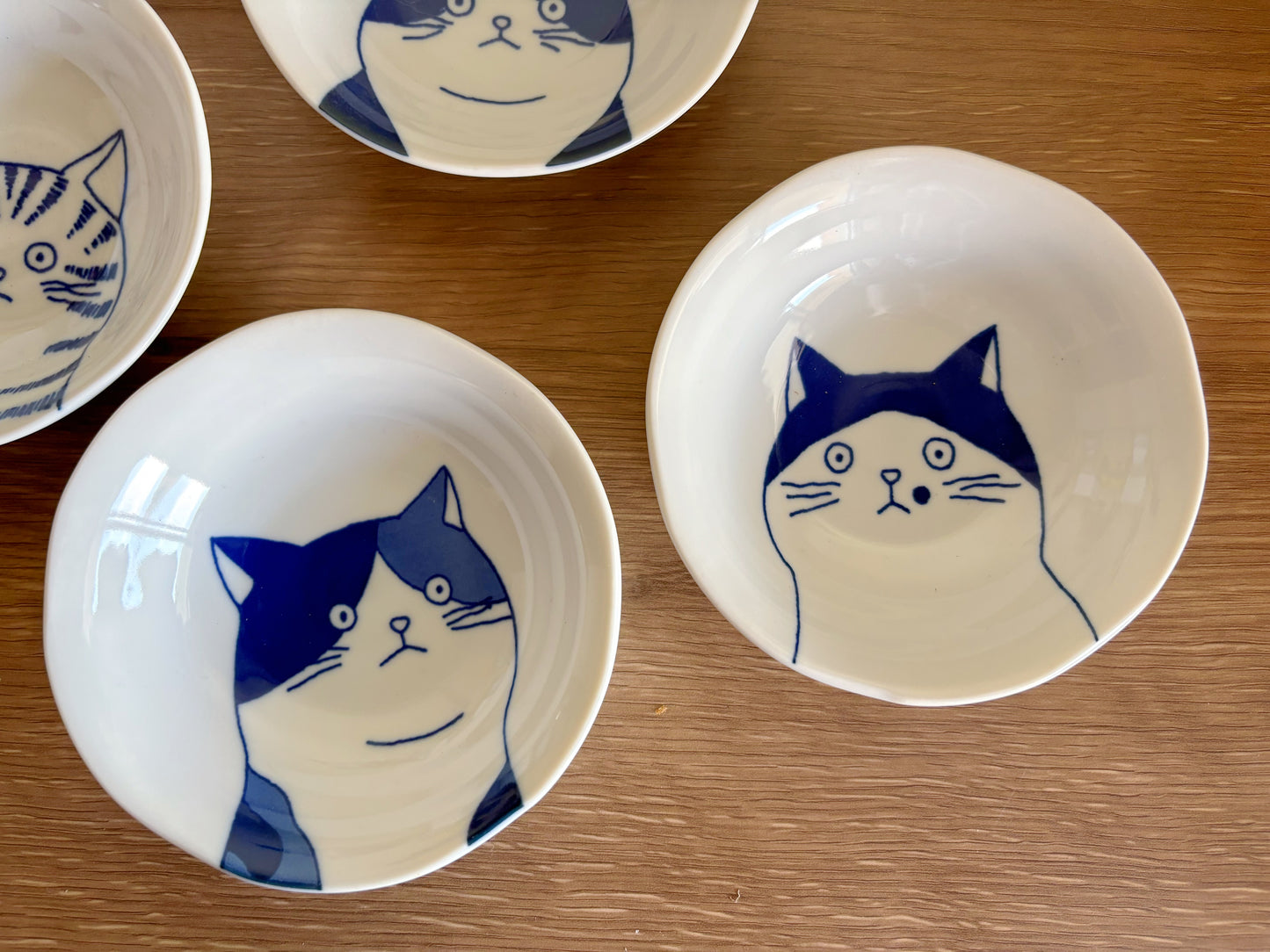 5 Piece Set of Cat bowls Cat plates Mino yaki Mino Ware From Japan Japanese ceramics