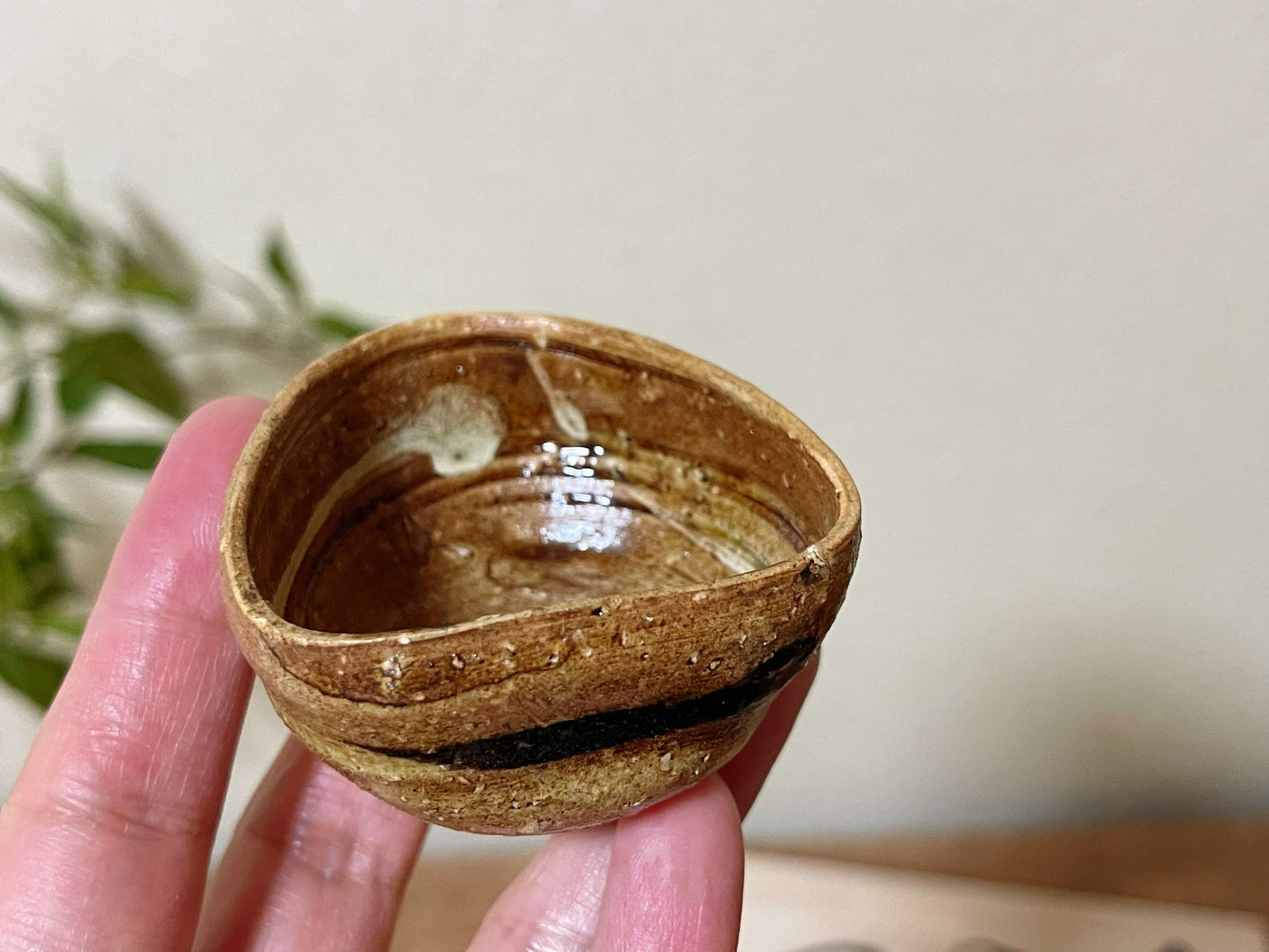 5 Piece Minoyaki Folk Inspired Teacups / Sake Cups | Set of 5 Unique Handmade Japanese Minoware Ceramic Tea Cups in Wooden Giftbox