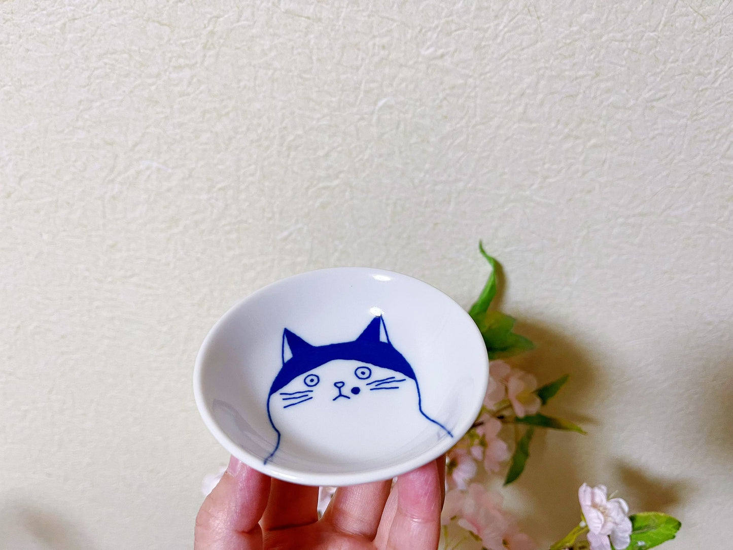 5 Piece Japanese Minoyaki Cats Mamezara Plate Set in Gift Box | Set of 5 Kawaii Petite Neko Cat Portrait Soy Sauce Plate/ Pickle Olive Dish