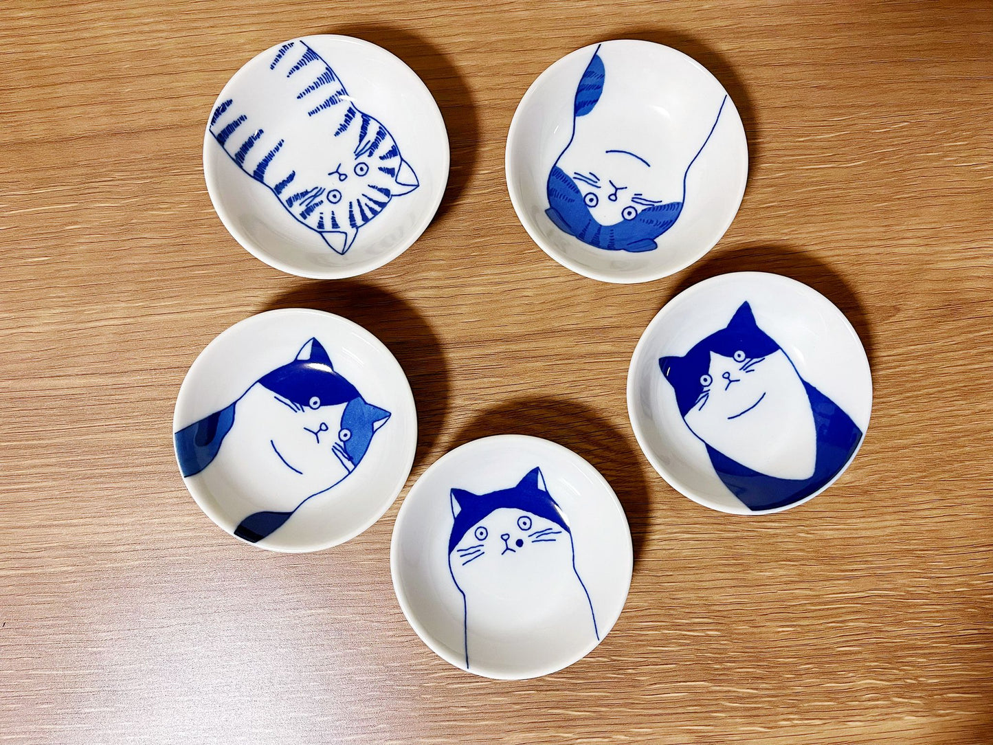 5 Piece Japanese Minoyaki Cats Mamezara Plate Set in Gift Box | Set of 5 Kawaii Petite Neko Cat Portrait Soy Sauce Plate/ Pickle Olive Dish