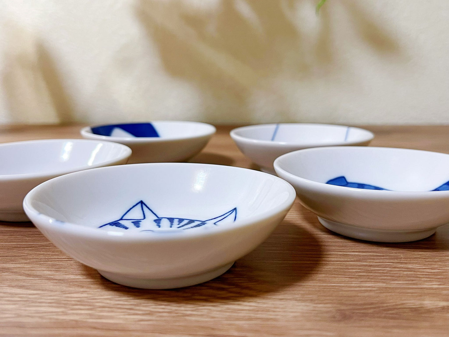 5 Piece Japanese Minoyaki Cats Mamezara Plate Set in Gift Box | Set of 5 Kawaii Petite Neko Cat Portrait Soy Sauce Plate/ Pickle Olive Dish