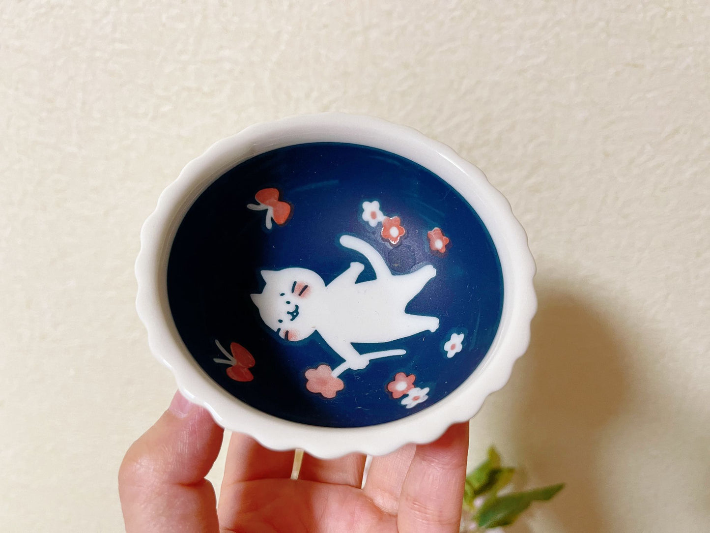 4 Piece, Japanese Mino ware Handmade Kawaii Kitty Cat Large Plate & Bowl Set, Mino yaki Cute Cat Kitty Sunday, Made in Japan,Gift Box